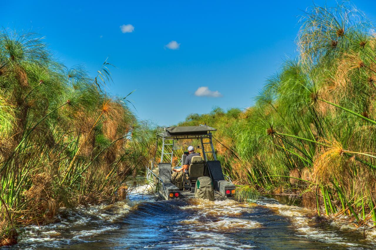 Thamalakane River Lodge Maun Exteriér fotografie